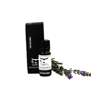 Pure Essential Oil - Lavender - 10ml