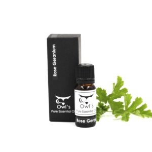 Pure Essential Oil - Rose Geranium - 10ml