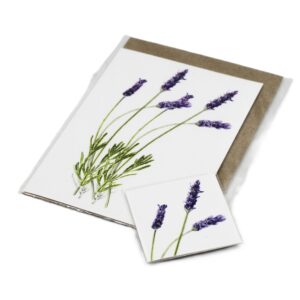 Botanical Gift Cards & Tags