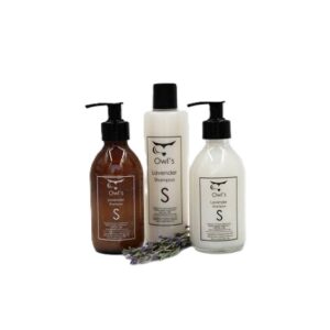 Shampoo - Lavender